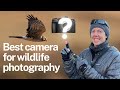 What is the best camera for wildlife photography?