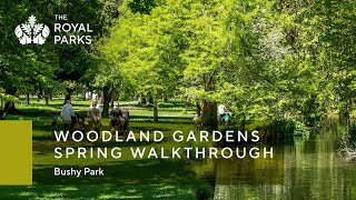 The Woodland Gardens in Bushy Park spring walkthrough | The Royal Parks