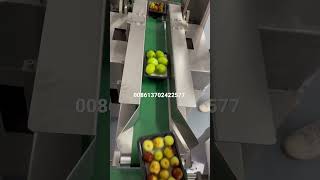 Fresh fruits packing machine for supermarket | How to packing the fresh vegetables fruits by machine