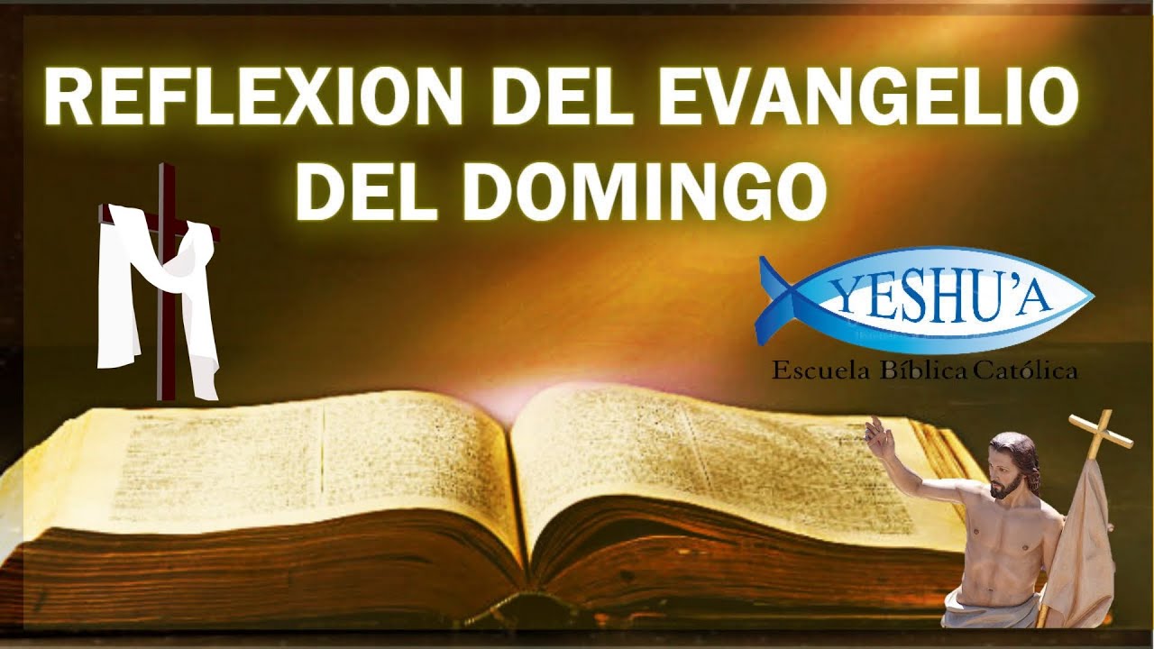 EL BUEN PASTOR (Reflexión Del Evangelio Del Domingo) - YouTube