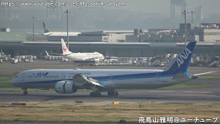 [787-10国内線仕様] ANA Boeing 787-10 Dreamliner JA982A landing @ Haneda RWY34L [April 28, 2024]