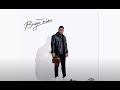 Tyler ICU - Ama Million (Official Audio) feat. Chley Nkosi, Freddy K & Toss