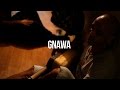 GlobalFaction - GNAWA