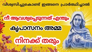 വിശ്വസിച്ചുകൊണ്ട് ഒരു ആവശ്യം അമ്മയോട് ചോദിക്കുക, God's Love, miracle prayer, Prayer for impossible