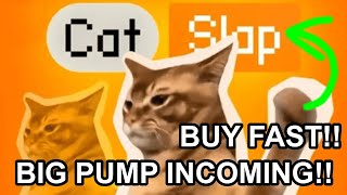 Buy Catslap Meme Coin Now!! This WILL PUMP THE COIN SOON!!