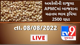 Mandi:અમરેલીની રાજુલા APMCમાં બાજરાના મહત્તમ ભાવ રૂપિયા 2500 રહ્યા | Tv9News