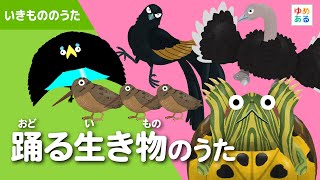 踊る生き物のうた🐦🎵