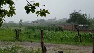 Lluvia relajante en el rancho