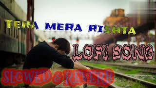 tera mera rishta lofi song|shreya ghoshal song| slowed & reverb| @DarkKingStatus1  #lofi