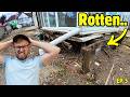 Jim's Conservatory Is Collapsing! Can We Fix It? (Helping Jim EP5)