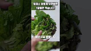 잎채소 보관 야채 쌈채소 오래보관법 #shortsvideo