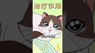 王多喵: 猫咪居然也爱听音乐！这几首音乐，快帮主子收藏好。