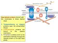 Unlock the Mystery of Cell Membranes with Proteins: Protein Interaction & Biomaterials Explained