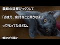 スカッとする話★義母の介護を私に全部丸投げしたコトメ「私さんって案外薄情だよね」→私「そうですね」→このあと夫の援護射撃がgj【感動屋ジャパン】