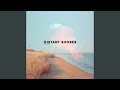 Distant Shores