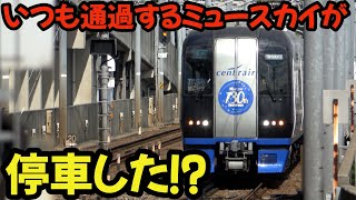 通過するはずの列車が停車⁈緊急停車か⁈しかもまさかのブルーミュースカイ #名鉄 #鉄道 #chaos #4k #電車 #railway