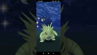 highest cp tyranitar ever🤣🤣 #shorts