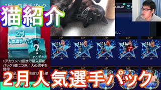 『FIFAモバイル』確率0.98%でOVR116TOTYベスト11が当たる2月人気選手パック3連と飼い猫の紹介！【FIFAモバイル2022】(FIFA MOBILE)