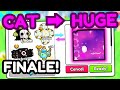 Cat to Huge FINALE - 5 Huges Value 💀 50M+ Gems Profit! (PETS GO!)