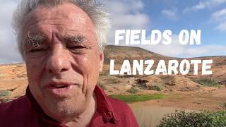 How can this be? : Fields and vines in lava on Lanzarote