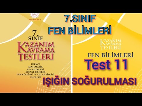 7.Sınıf Fen Bilimleri Meb Kazanım Kavrama Testi 11 Işığın Soğurulması ...