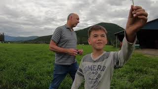 Precision Crop Tech Drone || Penergetic Trial Spraying @ H P Cattle Lumby BC || Long Version