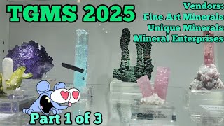 TGMS 2025 Vendors Pt.1 😍💎💖 #tuscongemshow #tgms #tgms2025 #gemsandminerals #crystalshopping #travel