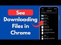 How to See Downloading Files in Chrome iPhone (Quick & Simple)