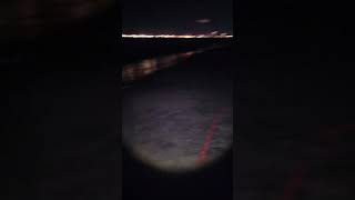 Grunion Run at Belmont Shores CA Cinco de Mayo 2023