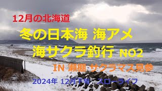 2024年12月下旬　冬の日本海 海アメ 海サクラ釣行NO2~IN瀬棚 サクラマス見参~