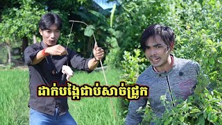 រឿងកំប្លែងខ្លី ដាក់បង្កៃជាប់សាច់ជ្រូក