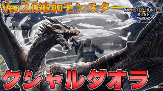 【モンハンライズ】魔改造で良モンスに⁉鋼龍「クシャルダオラ」を太刀で初見プレイ！モンスターハンターライズ実況 #17【MHRise】