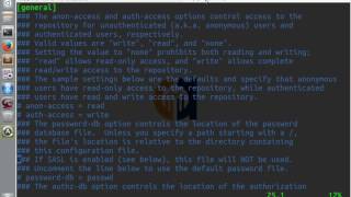 SVN Command Line Tutorial 1