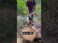 Stihl ms 661 🌲 Chainsaw Full Speed 😨 very Scharpen 🤯 #chainsaw