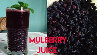 Mulberry Juice Summer Refreshing Drinks | How To Make Healthy Mulberry Juice At Home