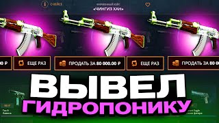 ВЫВЕЛ АК47 ГИДРОПОНИКА С 500Р НА CASEBATTKE?! НАШЁЛ НОВЫЙ АБУЗ?!