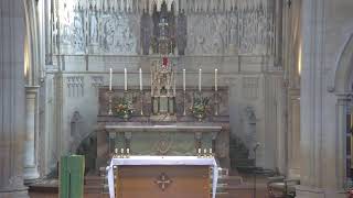 Sunday 11:15 am Mass of the 5th Sunday in Ordinary Time