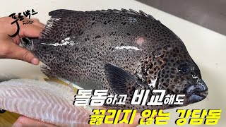 아직 안 먹어 보셨다면 꼭 드셔보세요 !! 돌돔에 밀리지 않는 강담돔