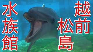 [北陸2022]越前松島水族館