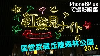 【イルミネーション】森林公園「紅葉見ナイト2014」iPhone6Plusで撮影編集