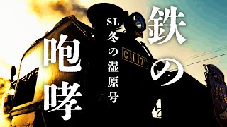 SL 冬の湿原号 scene2023 Steam Locomotive Marshland Railway #4k #ドローン #空撮