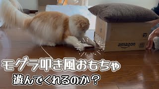 【手作りおもちゃ第2弾】モグラ叩き風おもちゃは遊んでくれるのか？