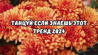 💗ТАНЦУЙ ЕСЛИ ЗНАЕШЬ ЭТОТ ТРЕНД 2024💗