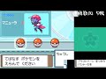 【ポケモンプラチナ】金ネジキ　討伐する