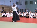 nishio budo nikyo demonstration