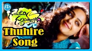 Thuhire Song - Gunde Jaari Gallanthayyinde Movie Songs - Nitin - Nithya Menon