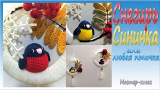 Снегирь,Синичка/Мастер-класс/Bullfinch,Tit Crochet/Master-class/English Pattern in Description