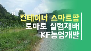 컨테이너 스마트팜에 토마토 시설을 설치해 보자