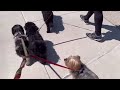 春と桜と犬散歩 virtual dog walking