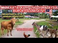 SIAPA KATA‼️KAMPUNG DI MALAYSIA BURUK & MISKIN , INILAH FAKTANYAA